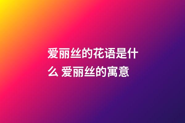 爱丽丝的花语是什么 爱丽丝的寓意